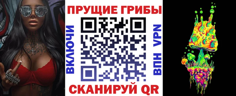 как найти Волхов МЕГА ссылка Галлюциногенные грибы ЛСД
