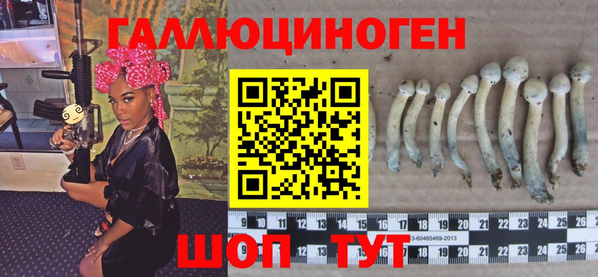 Псилоцибиновые грибы мухоморы Волхов